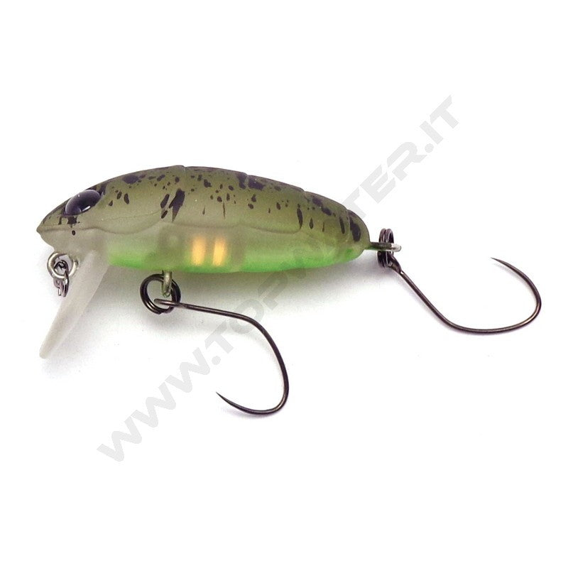 Nories Crankin' Pupa Shallow