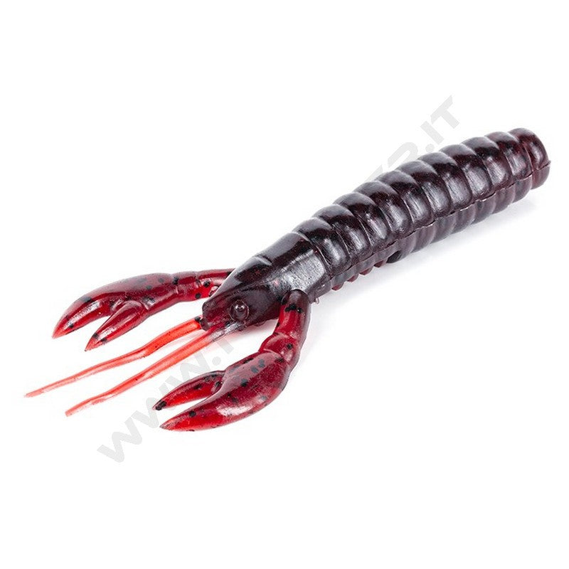 Molix Caleo Craw