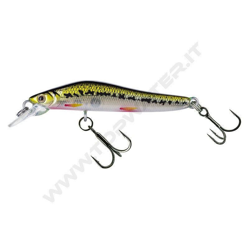 Molix Jubarino minnow