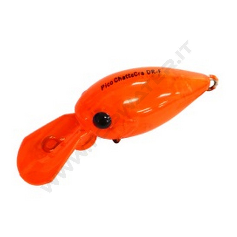 Daysprout Pico ChatteCra DR