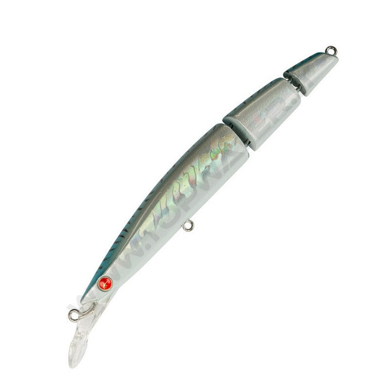 Seaspin Buginu 115 Bìu
