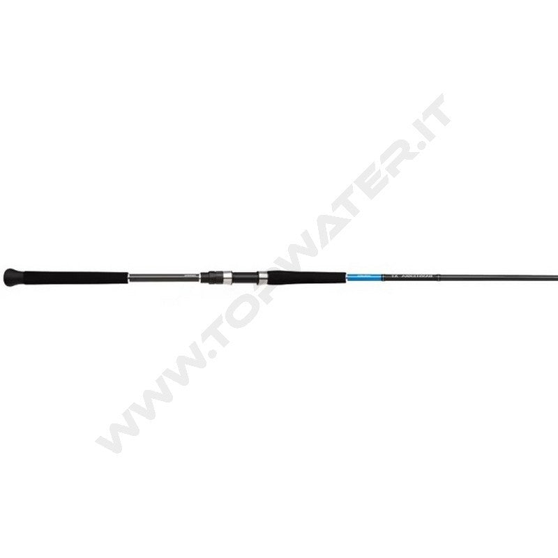 Shimano Bassterra XT Shore Jigging