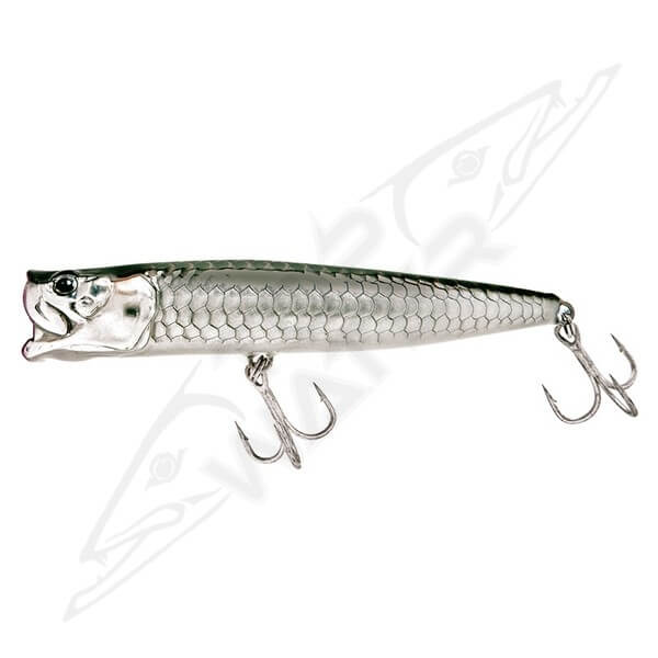 Molix Popper 130T Tarpon