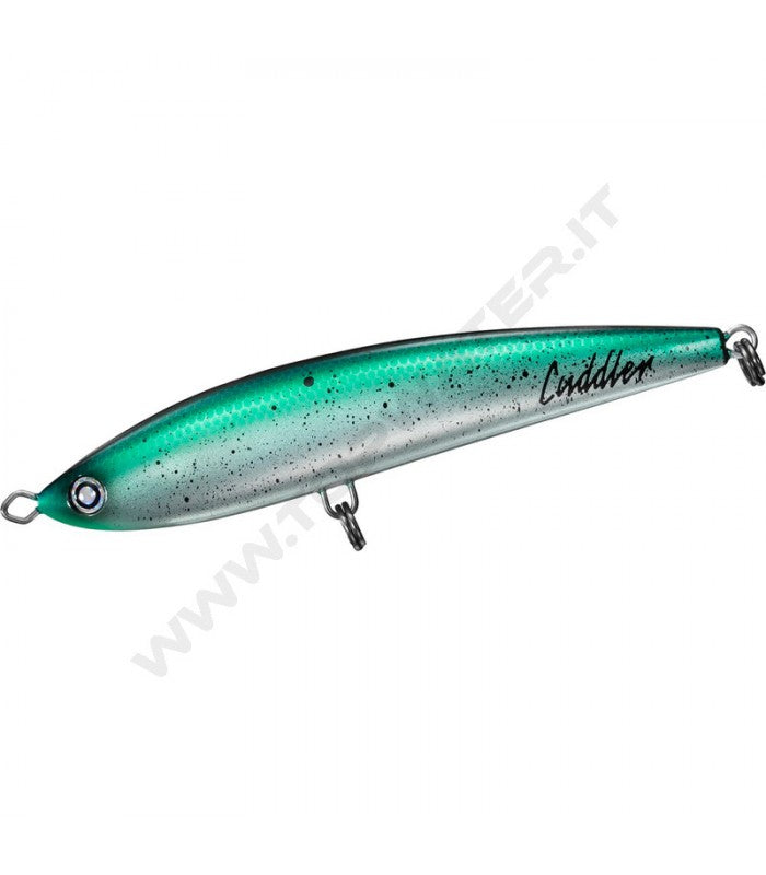 Daiwa Saltiga Cuddler 160F