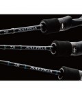 Daiwa Saltiga SJ rods