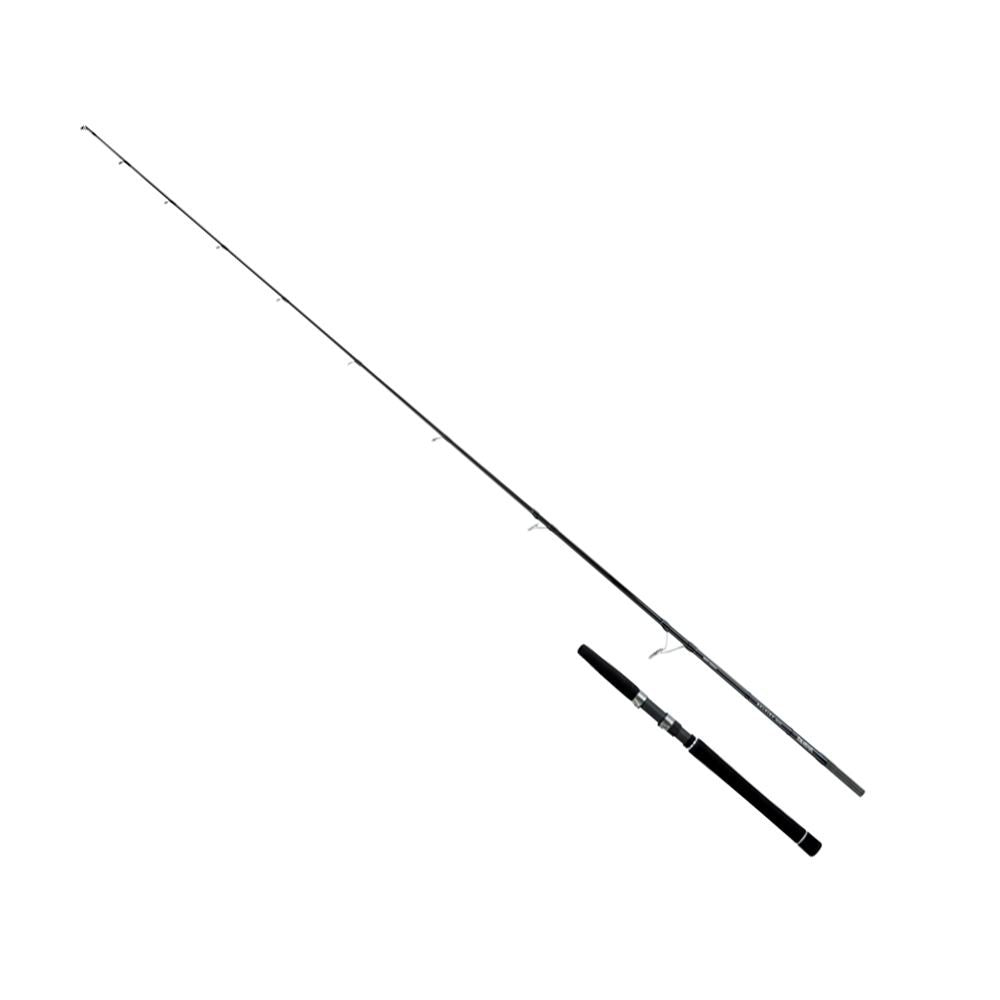 Daiwa Saltist Inshore Spinning