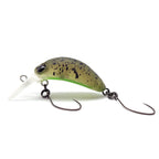 Nories Rice 30