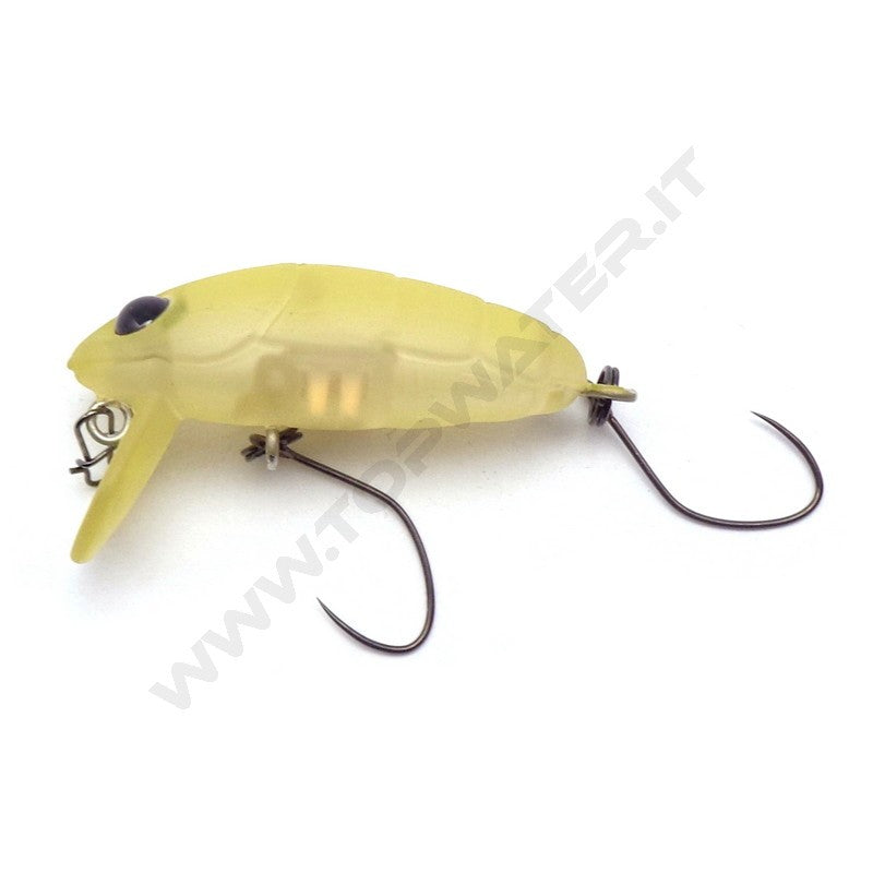 Nories Crankin' Pupa Shallow