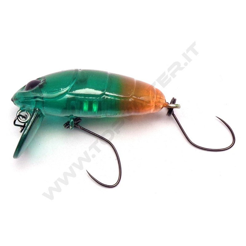 Nories Crankin' Pupa Shallow