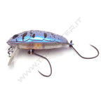 Nories Crankin' Pupa Shallow