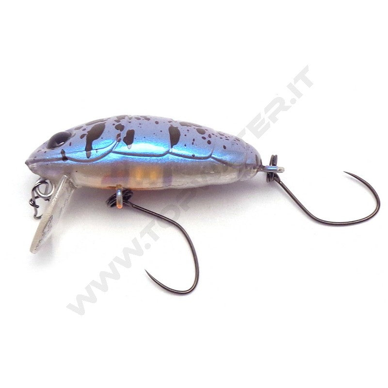 Nories Crankin' Pupa Shallow