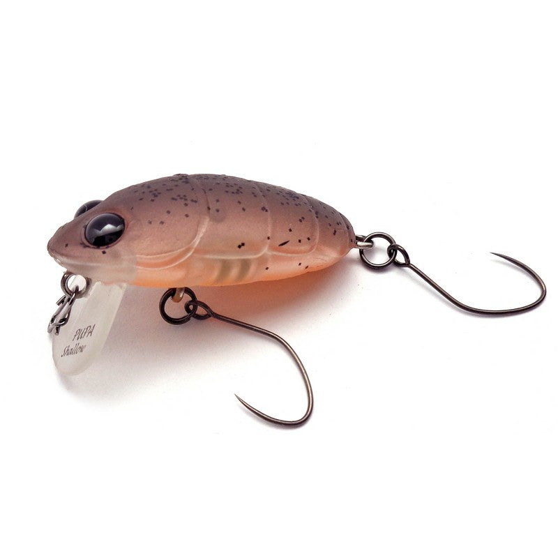 Nories Crankin' Pupa Shallow