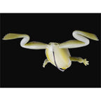 Imakatsu Finesse Frog Mini