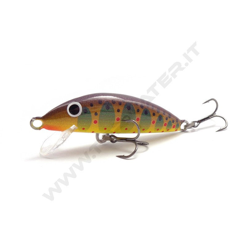 Real Winner Minnow