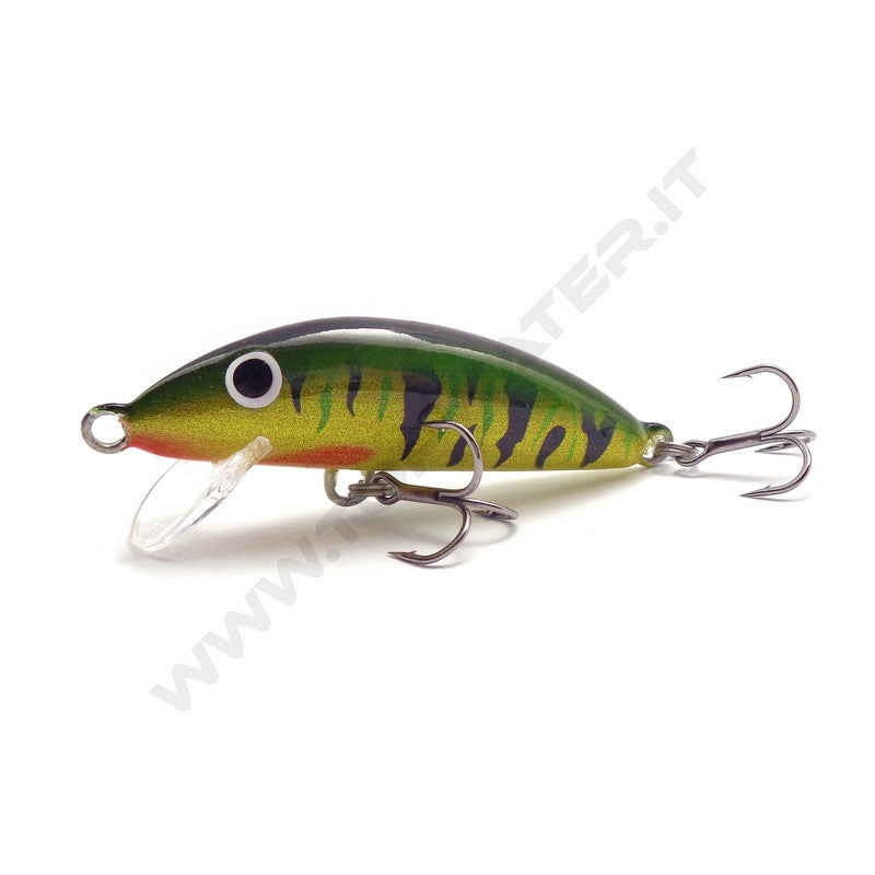 Real Winner Minnow