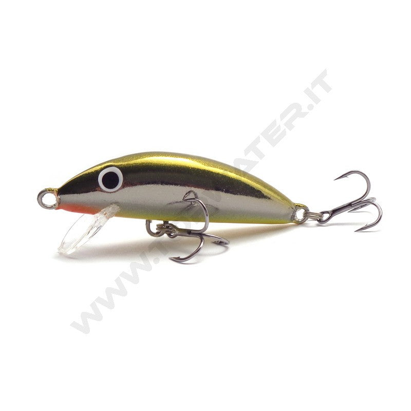 Real Winner Minnow