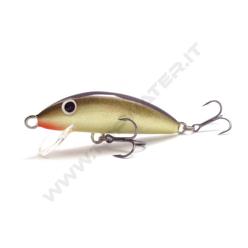 Real Winner Minnow