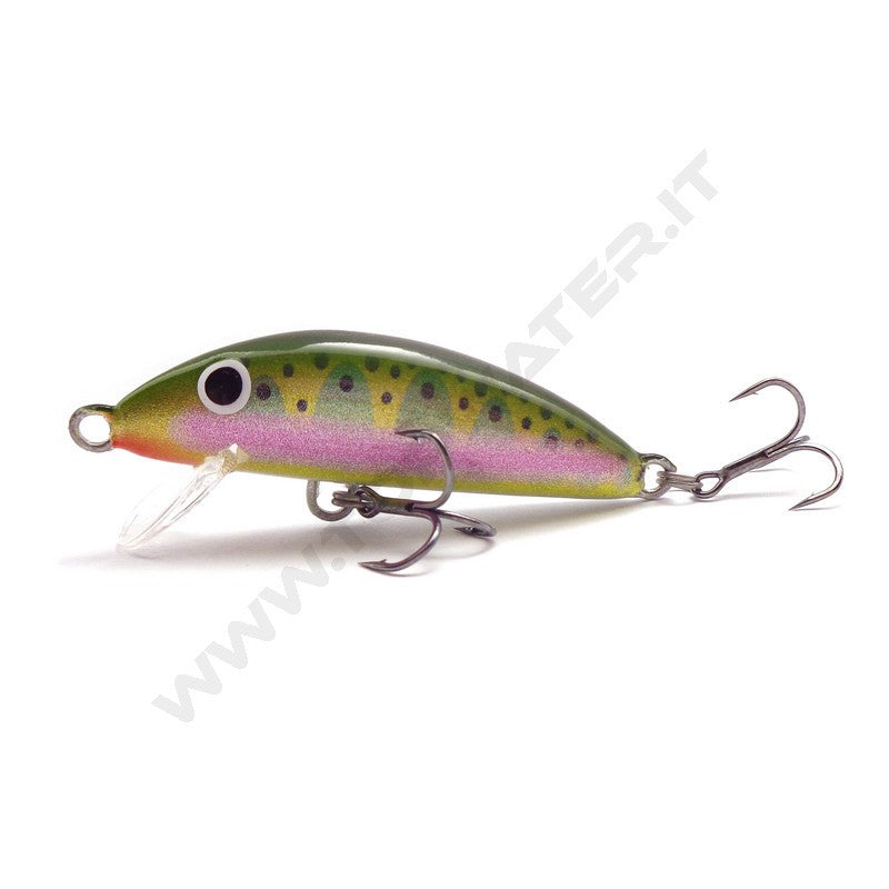 Real Winner Minnow