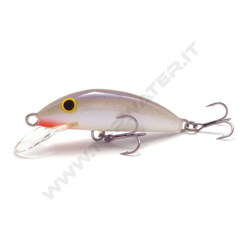Real Winner Minnow Evolution
