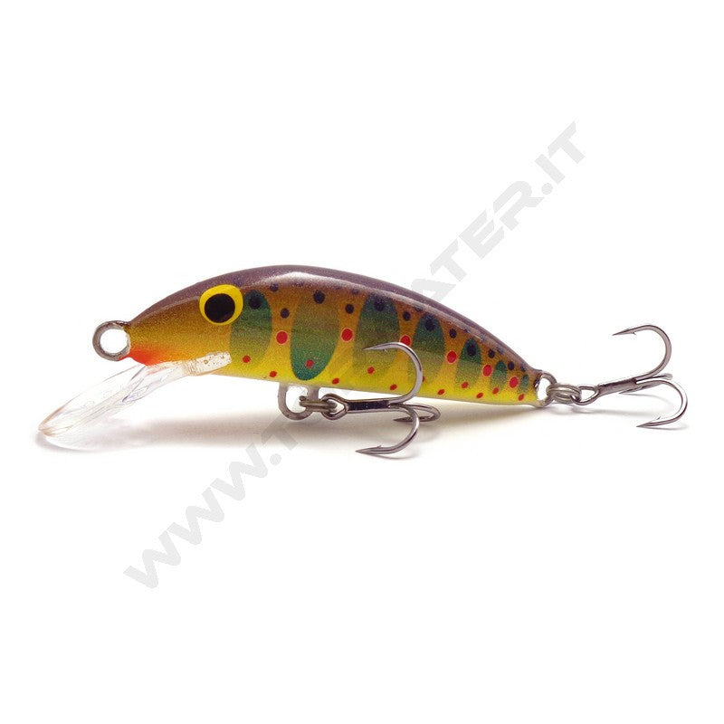 Real Winner Minnow Evolution