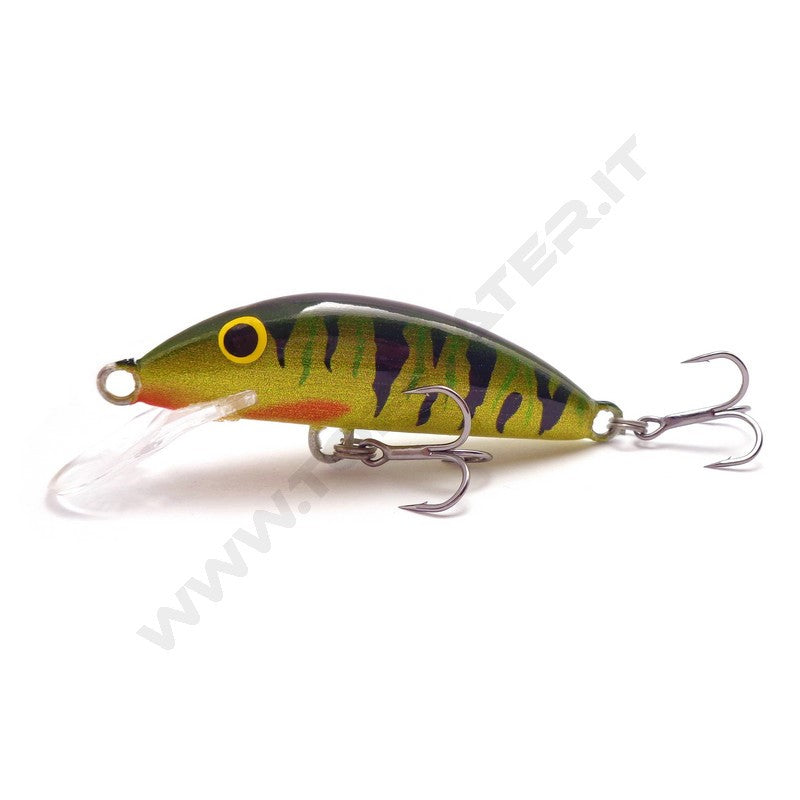 Real Winner Minnow Evolution
