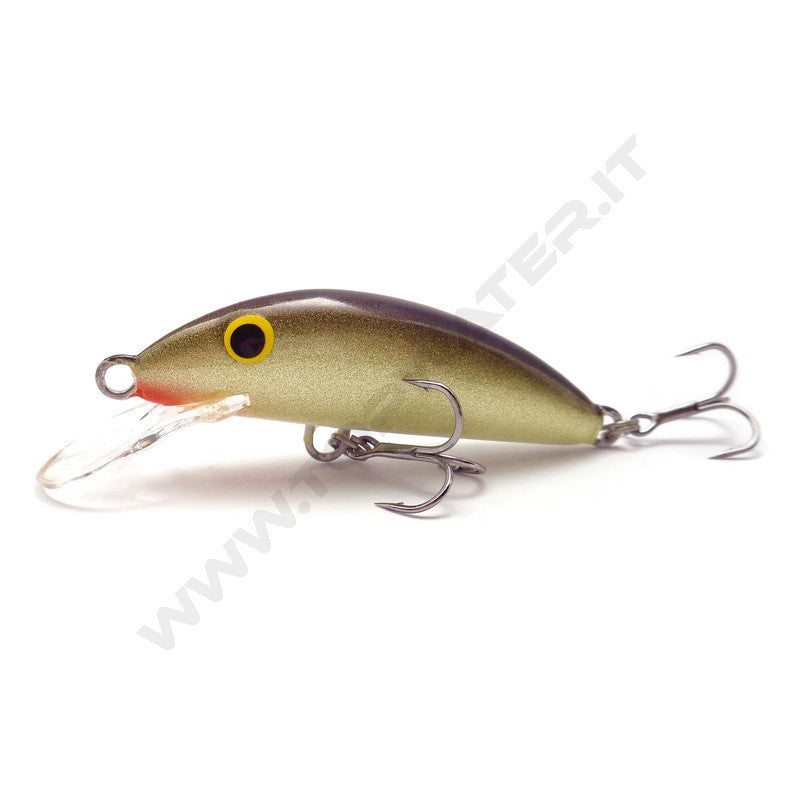 Real Winner Minnow Evolution