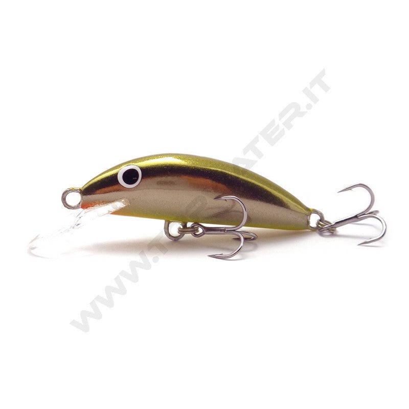 Real Winner Minnow Evolution