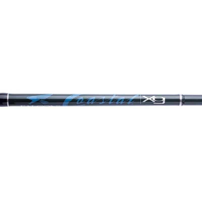 Falcon Coastal XG Spinning