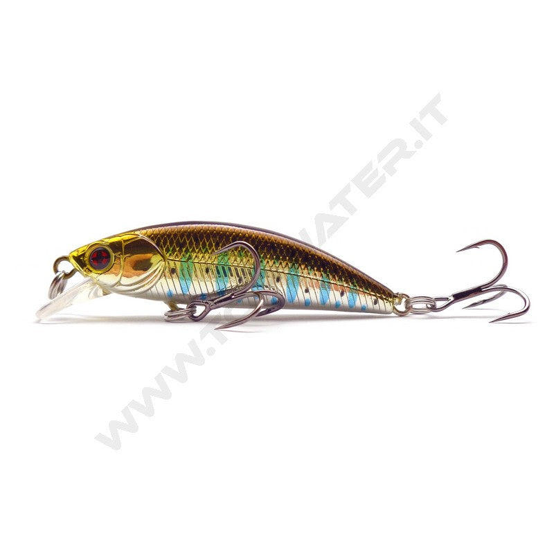 Sakura Phoxy Minnow HW