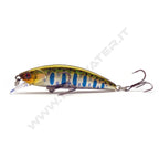 Sakura Phoxy Minnow HW