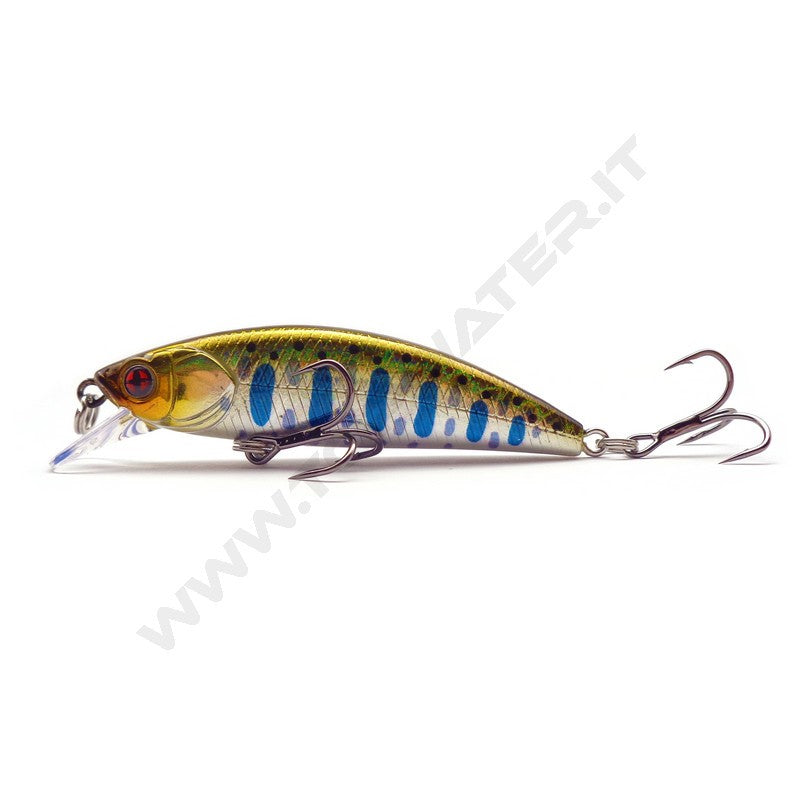 Sakura Phoxy Minnow HW