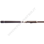 Fishus SW1 Saltwater Rod