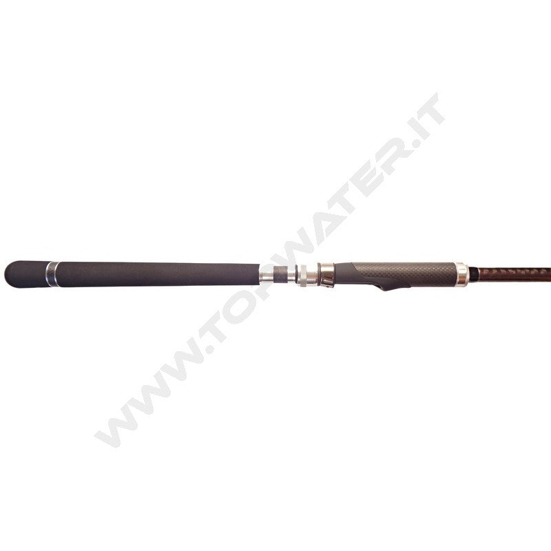 Fishus SW1 Saltwater Rod