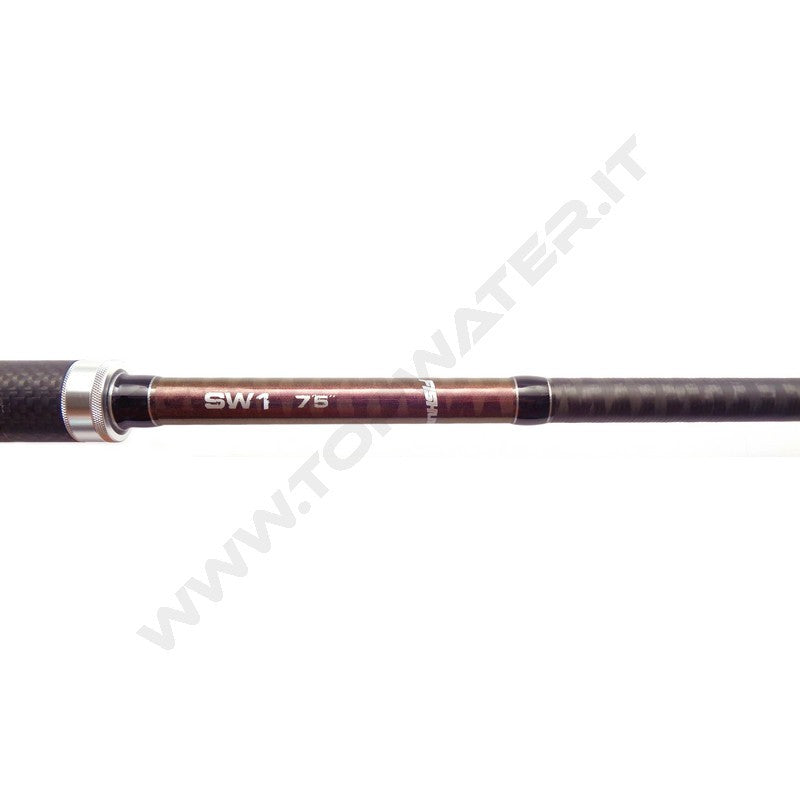 Fishus SW1 Saltwater Rod
