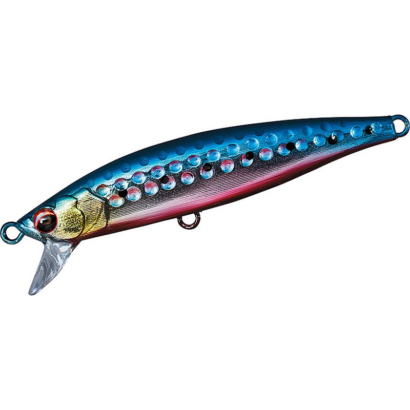 Daiwa Shore Spartan Wobblia