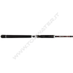Fishus SW3 Saltwater Rod