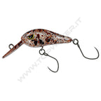 Molix Tournament Area Crank TAC 30 DR