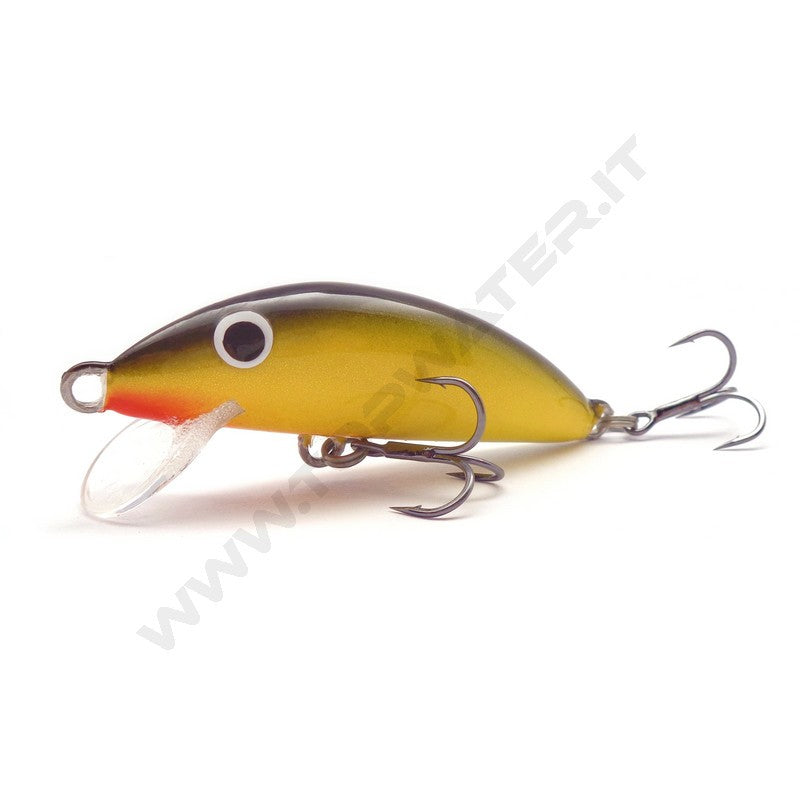 Real Winner Minnow