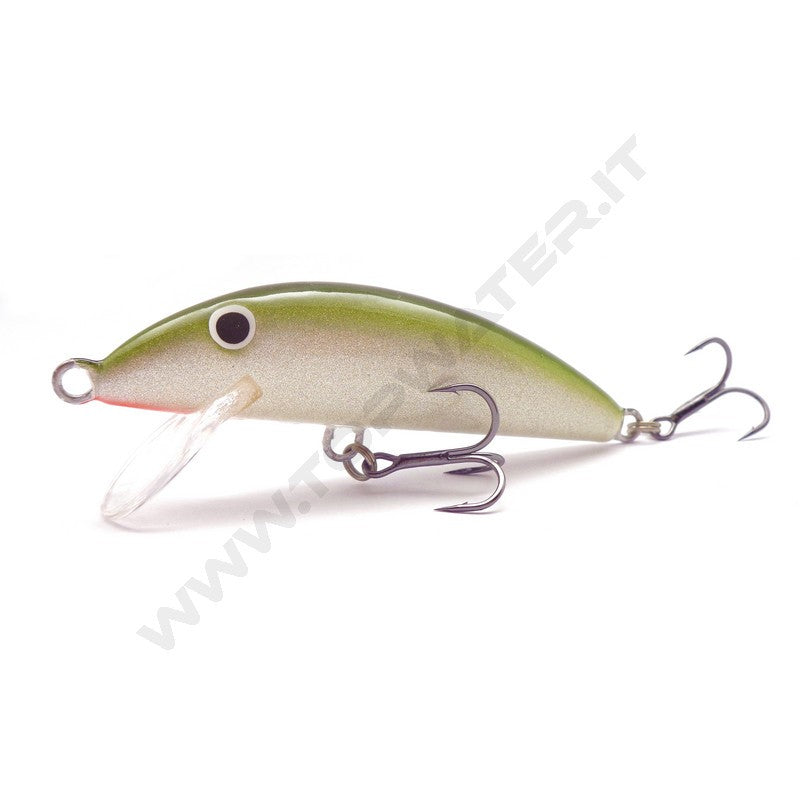Real Winner Minnow
