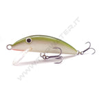 Real Winner Minnow