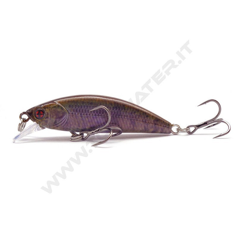 Sakura Phoxy Minnow HW