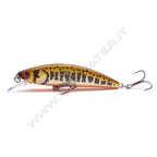 Sakura Phoxy Minnow HW