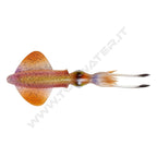 Savage Gear 3D LB Swim Squid