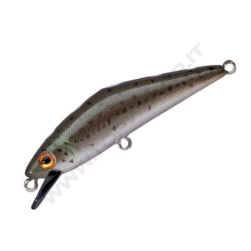 Smith D-Contact