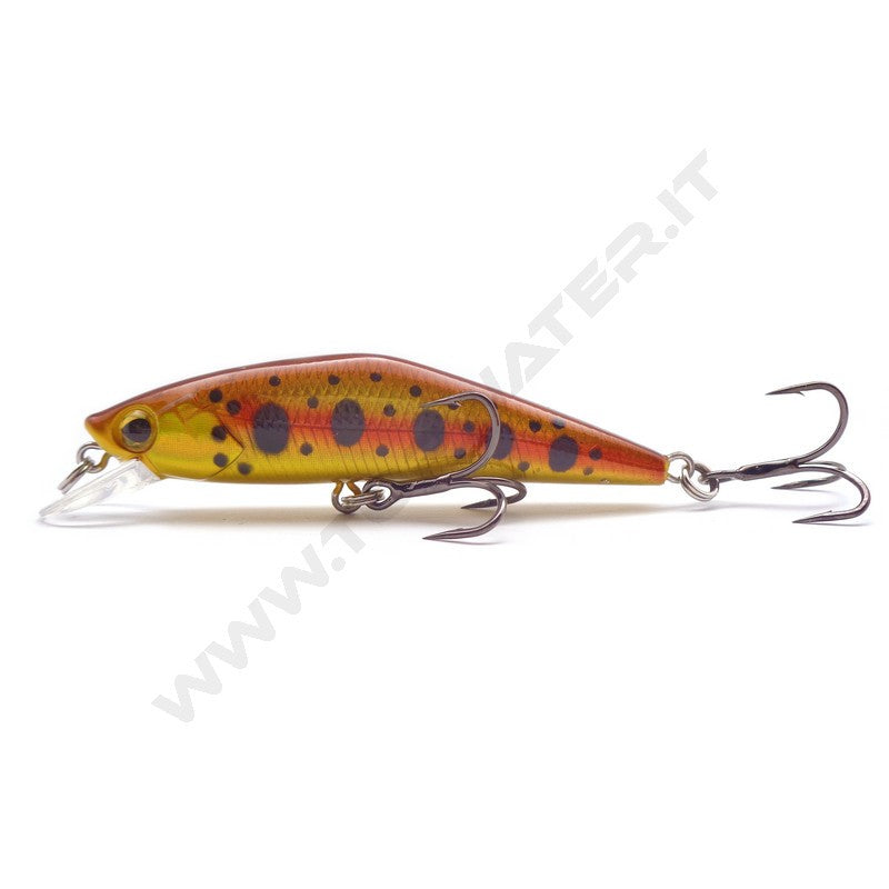 Rapture Sentinel Minnow