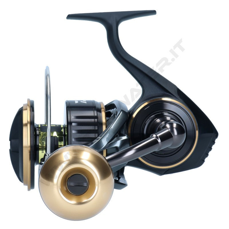 Daiwa BG MQ spinning reel