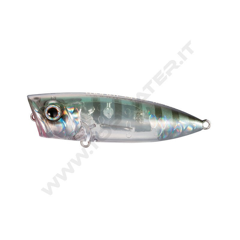 Shimano Bantam World Pop 69F Flash Boost