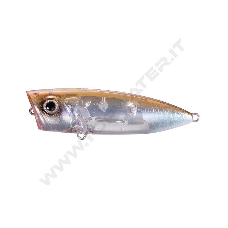 Shimano Bantam World Pop 69F Flash Boost
