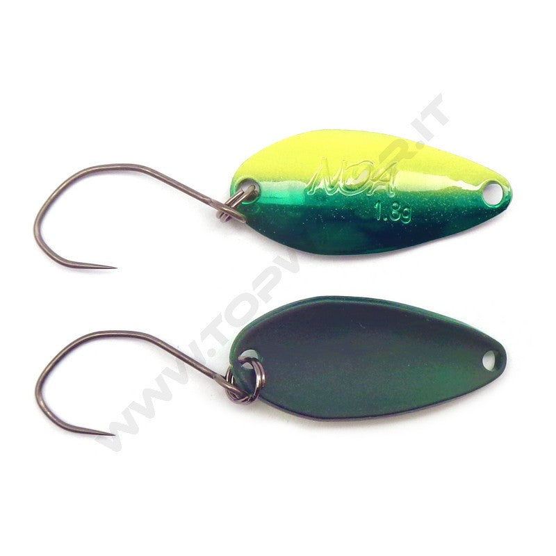 Rodio Craft Noa Jr. Limit 21