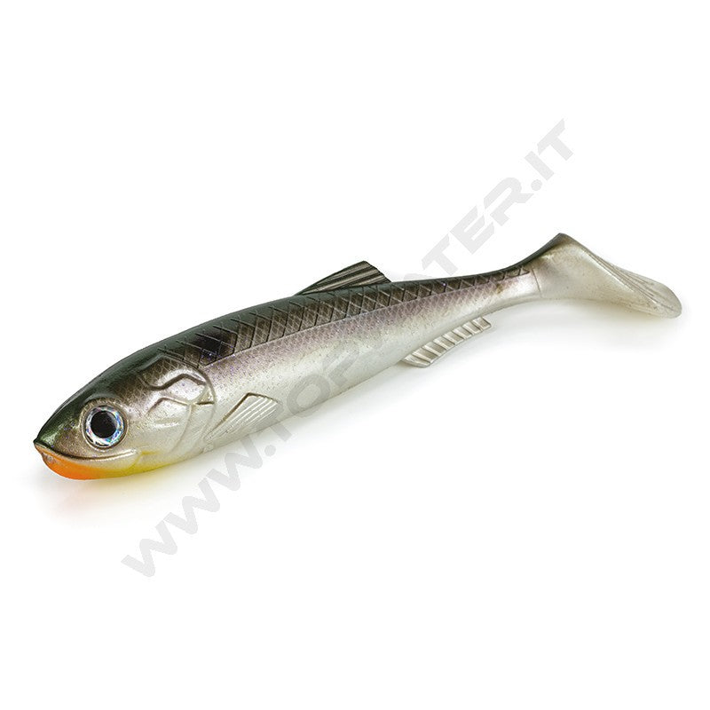 Molix RT Shad Bulk